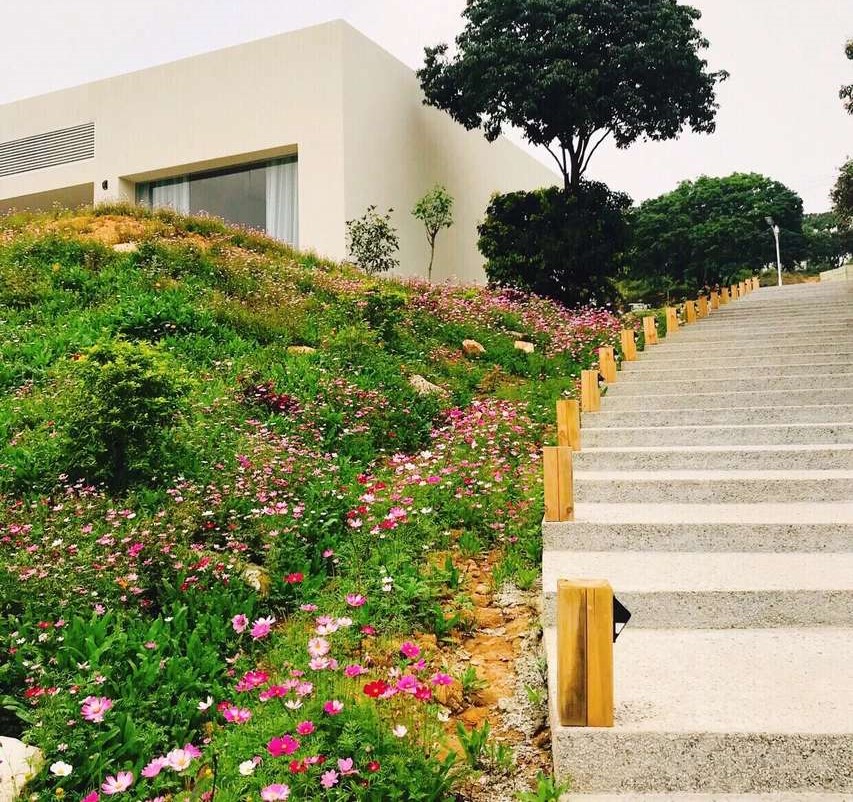 罗浮山吃住一体民宿有哪些,罗浮山顶级民宿