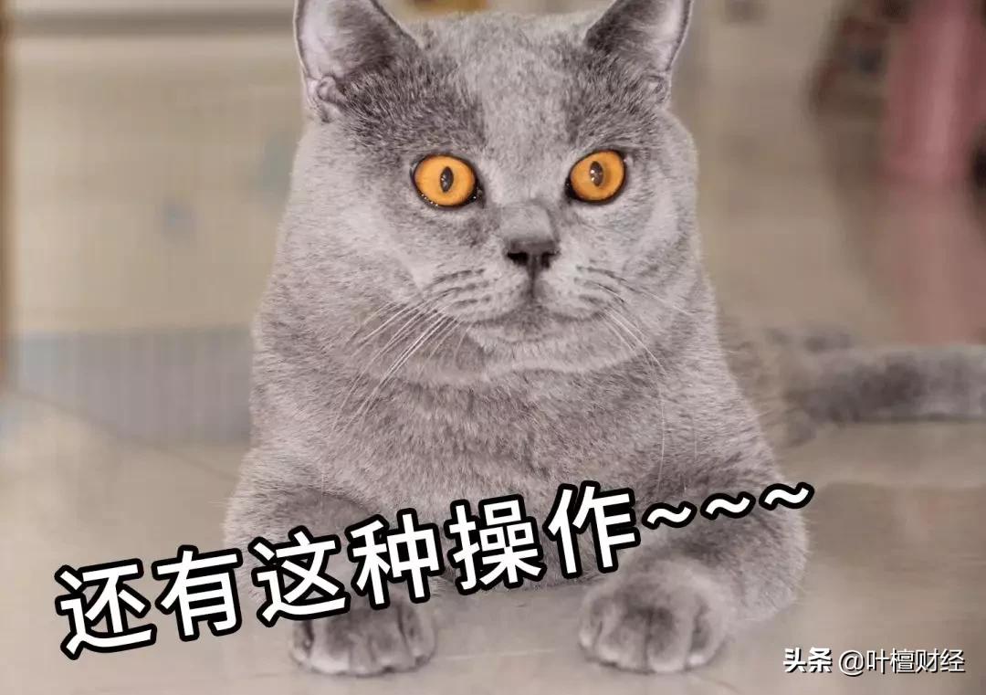 股市方向定了买什么好,股市中怎么走对正确方向