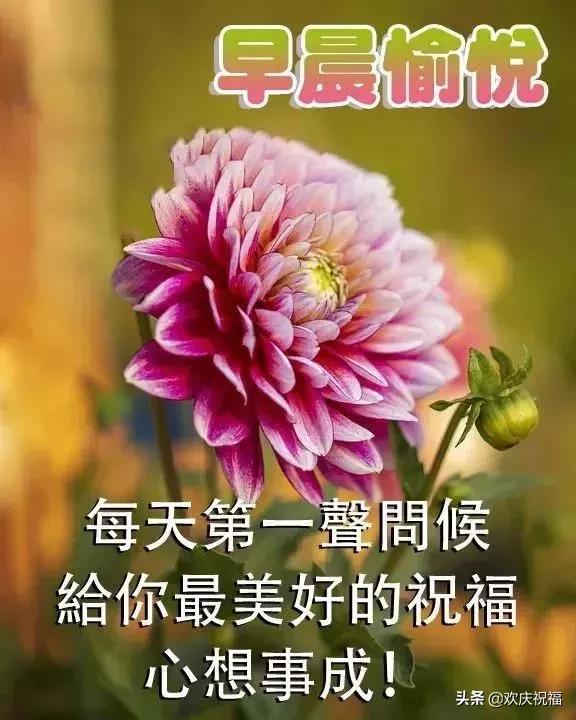爱不怕等就怕无视的句子,愿所有真情都不被辜负早安