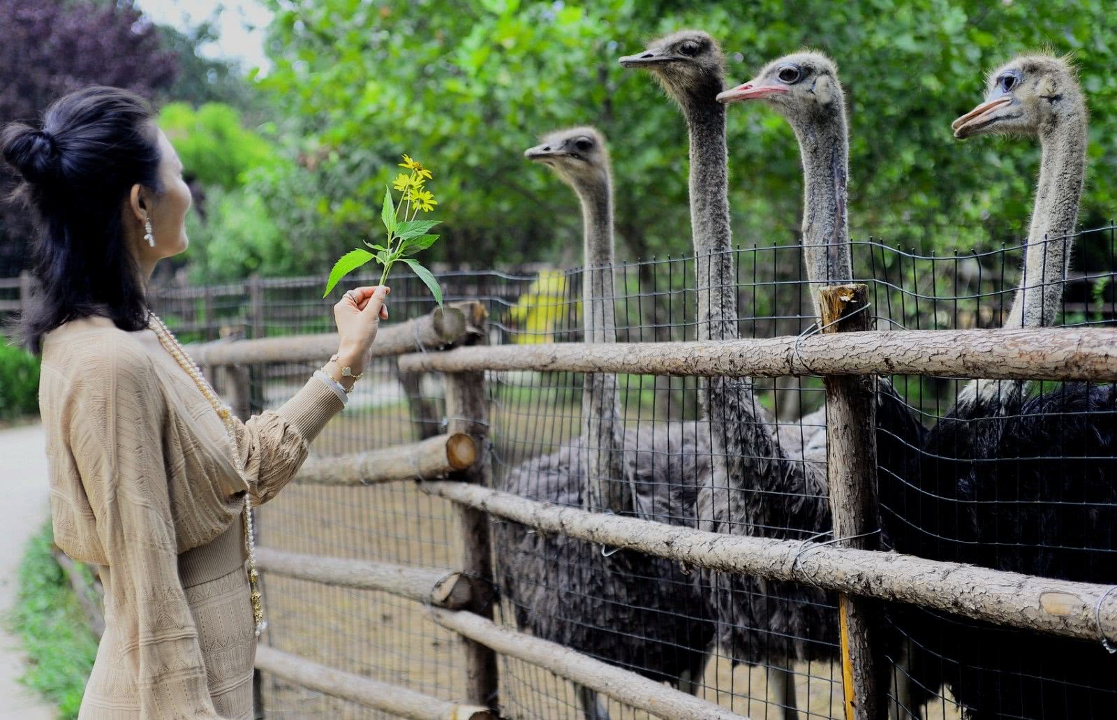 温泉亲子游济南哪里好玩,济南景点攻略夏天亲子乐园