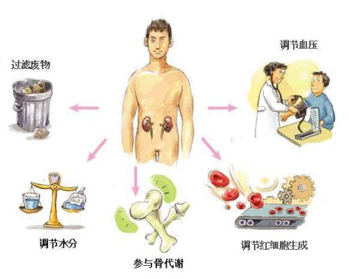 空腹抽血前喝了一口水影响效果吗,抽血为什么要空腹还不能喝水