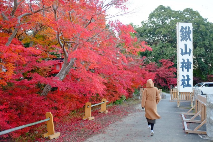 京都赏枫2022,京都赏枫必去景点有哪些好玩的