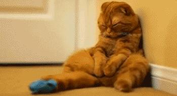 结扎精子去哪儿？对啪啪啪影响有多大？男女都得知道！