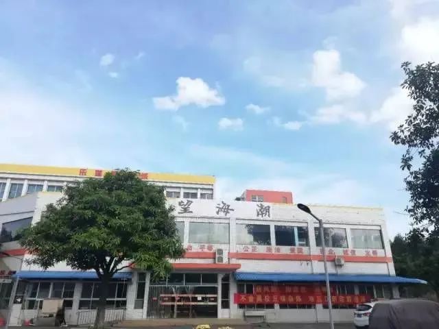 江门职业技术学院高职扩招分数线,江门职业技术学院高职高考154分