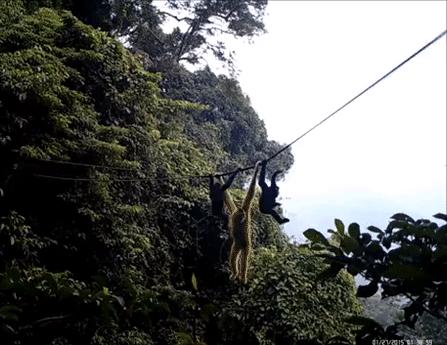 怎么去除米饭里的砷,如何去掉米饭里的蛋白质