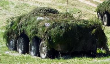 car-t疗法可以治疗哪些癌症,car-t癌症痊愈