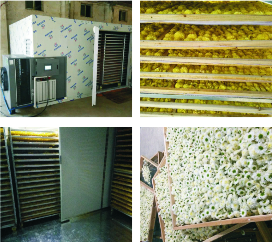 食品烘干设备,食品用烘干机器