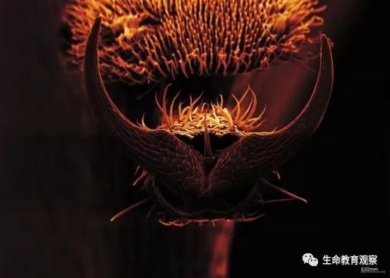 看完后，整个人都有点不对劲了（传播生物知识）