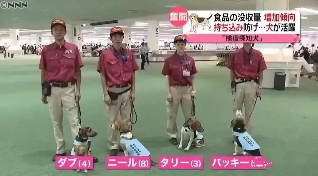 日本海关严查,日本海关对入境物品规定