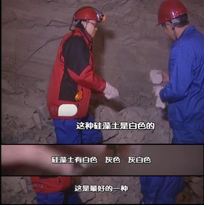 显微镜下的海洋生物,显微镜下的海洋