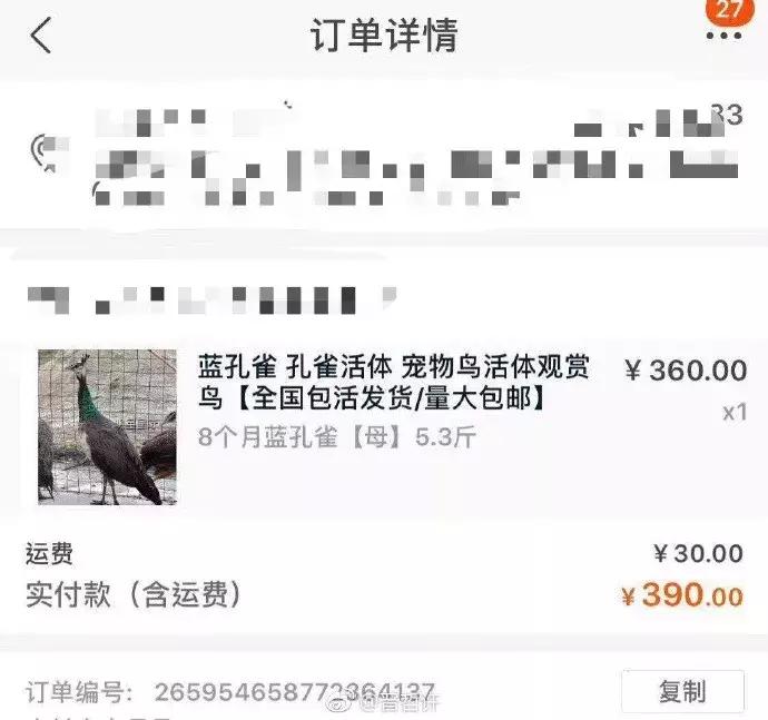 双11购物狂冠军视频,双11购物荒冠军排名