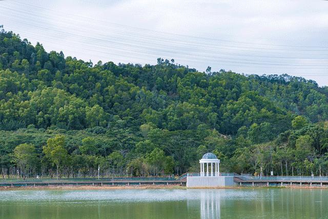 深圳游玩最佳地点排行榜前十名,深圳适合小孩游玩最佳地方推荐