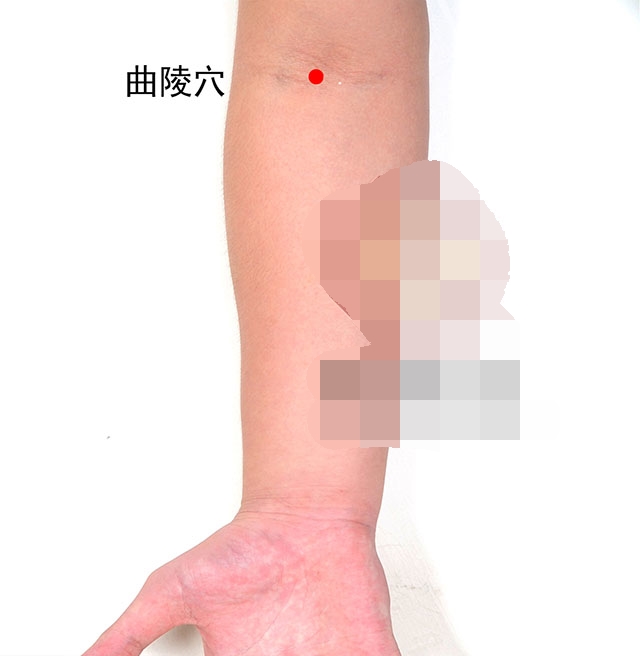 中医针灸耳朵疾病配穴处方,针灸耳朵可以治疗哪些病