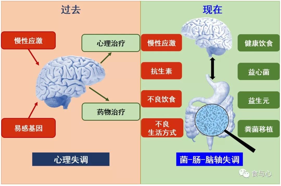抑郁症初期怎样自行调理,抑郁症饮食辅助治疗