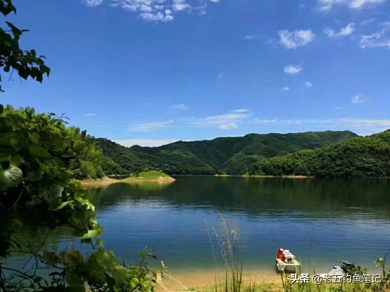 秋天的鱼肥美吗,秋天下雨过后的鱼好钓吗