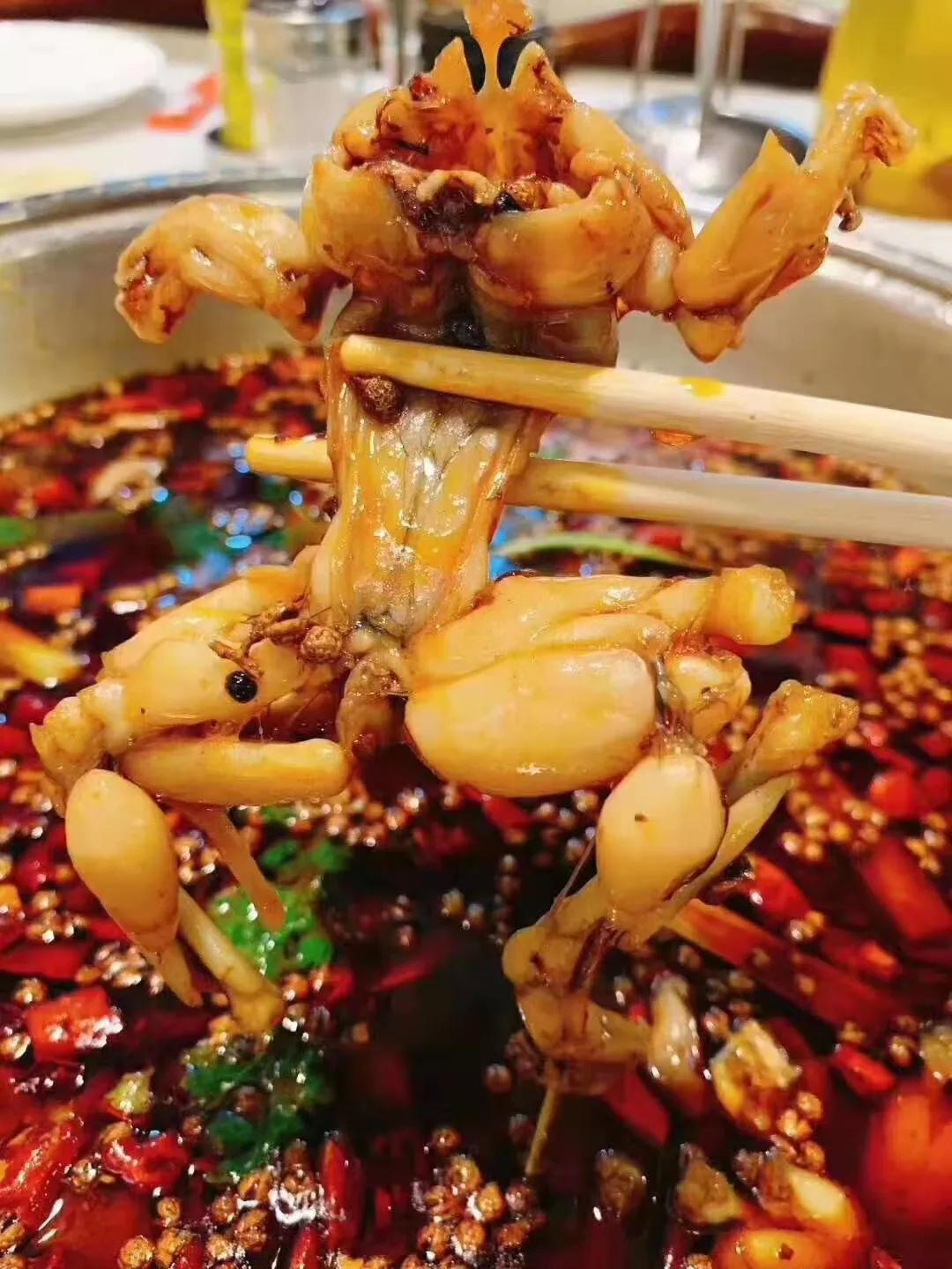 宅美食,宅家美食香喷喷