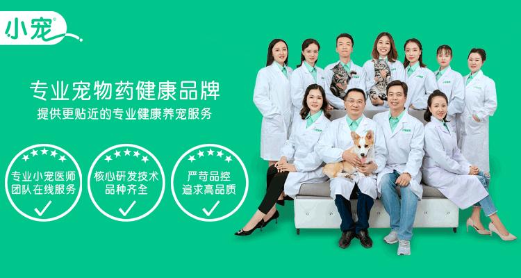 狗狗只因吃肉被打得半死不活,狗狗因误食布洛芬死亡