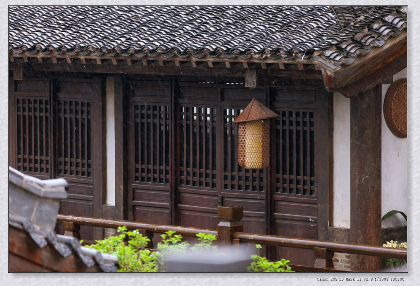 常州旅游东方盐湖城,骆驼之旅视频