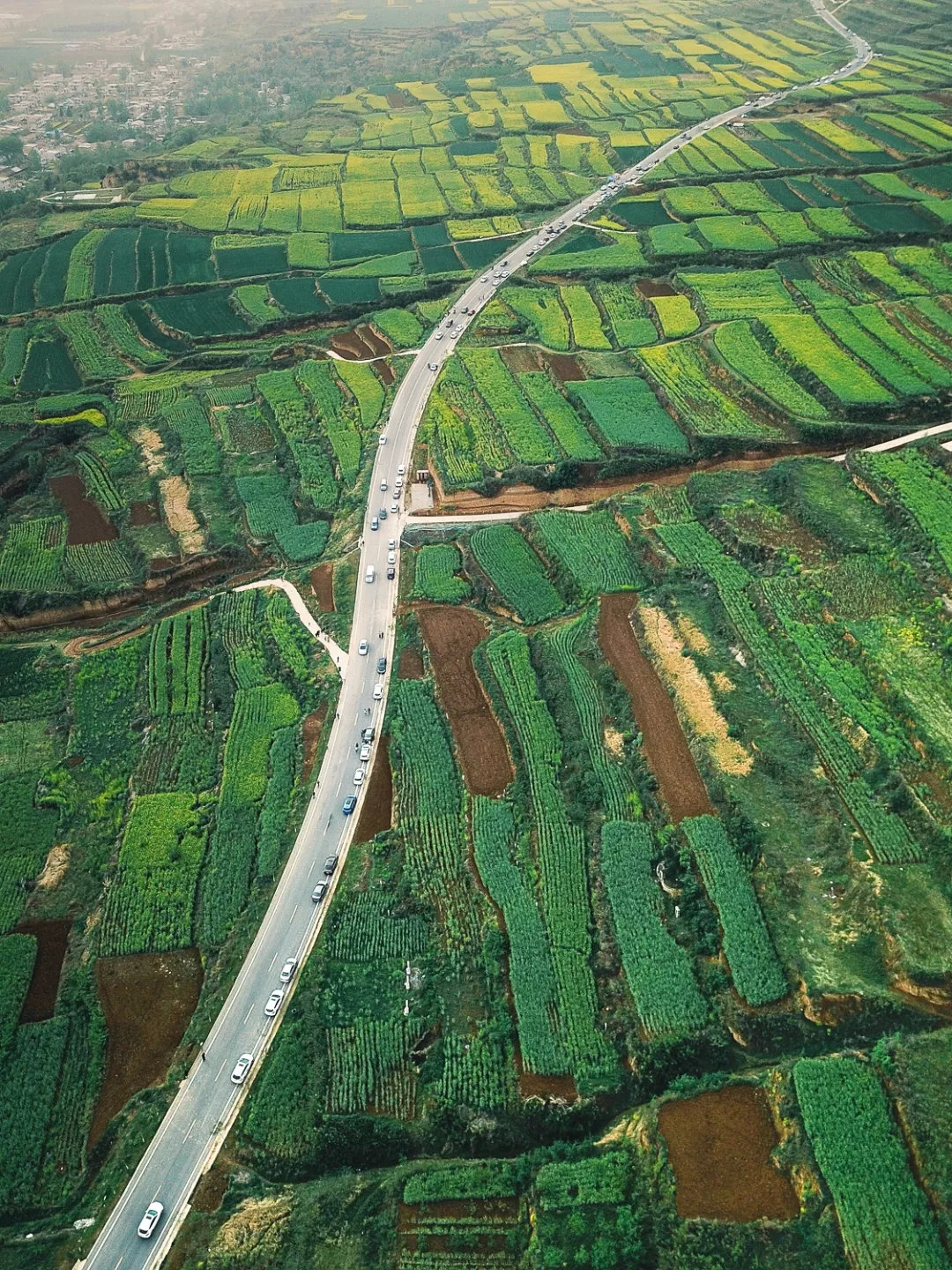 西安人为什么长不胖,西安人为什么不会胖