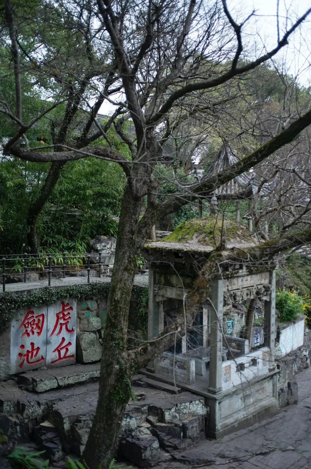 枫叶租车扬州东站店,枫叶租车苏州站店