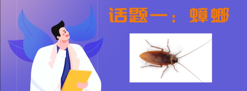 家里有蟑螂猫吃蟑螂吗,家里有蟑螂不能用蟑螂药吗