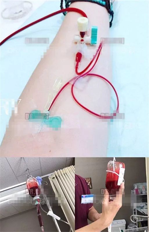 那些坑爹的网红减肥方法大揭秘,跟着女明星吃东西变美