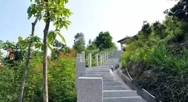 深圳免门票景点推荐,深圳市内近20个景点一票通玩