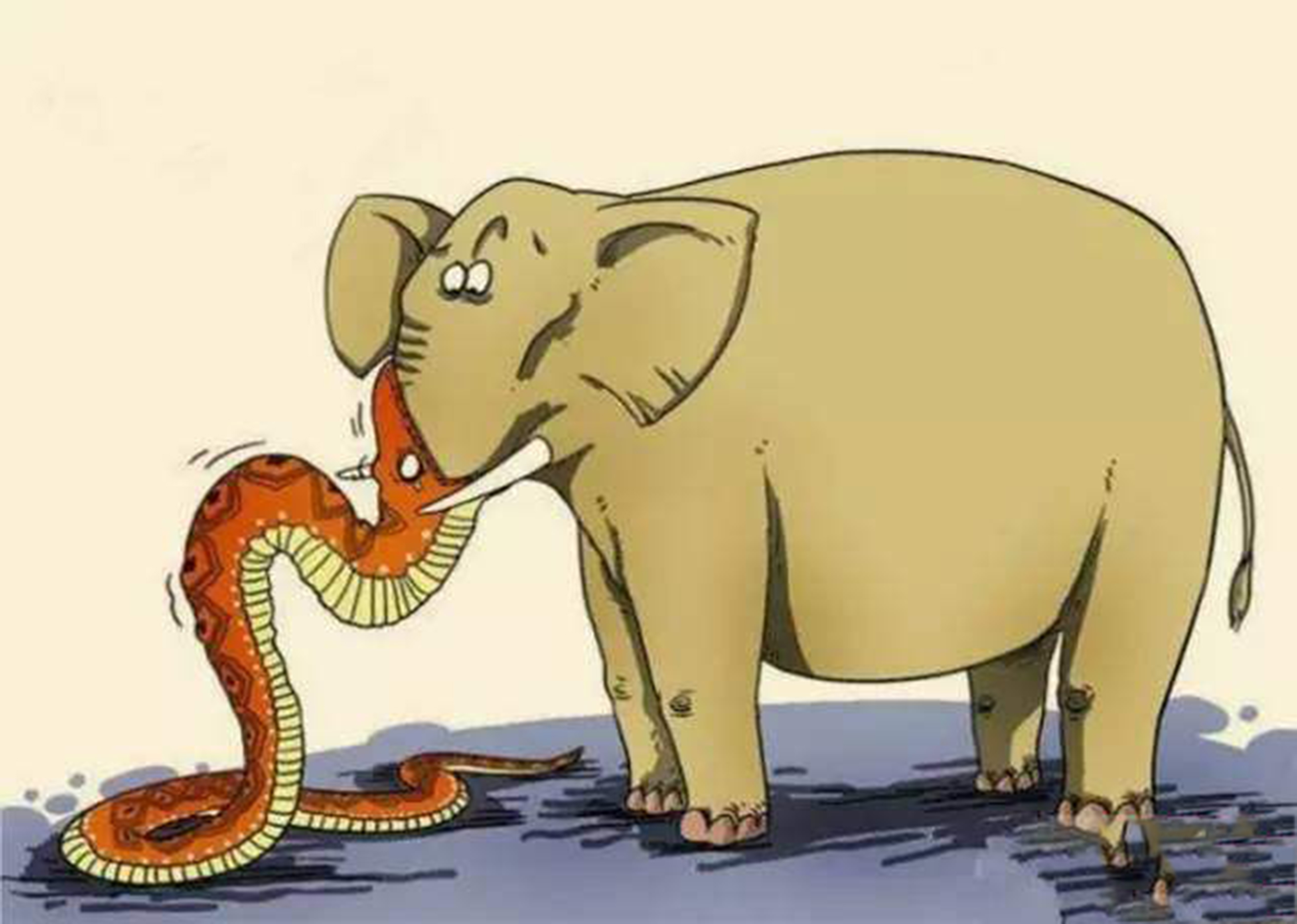 被蛇咬住了怎么办,被蛇咬住右手食指不松口