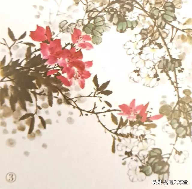 少儿国画花卉画法视频,各种花卉的100种画法