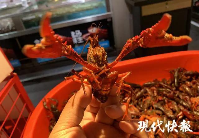 与它“握”了个手，男子手指红肿溃烂！医生：别大意