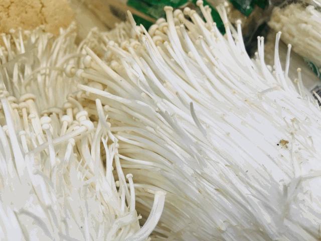 三农食用菌种植方法,如何在农村推广食用菌栽培技术