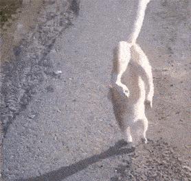 常见的20种网赚骗术揭秘,韭菜有效套路