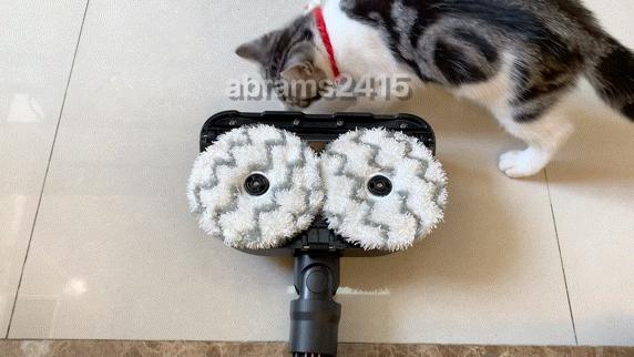 铲屎官秘密*器武**--带主动刀片切割毛发的顺造Z15Pro评测