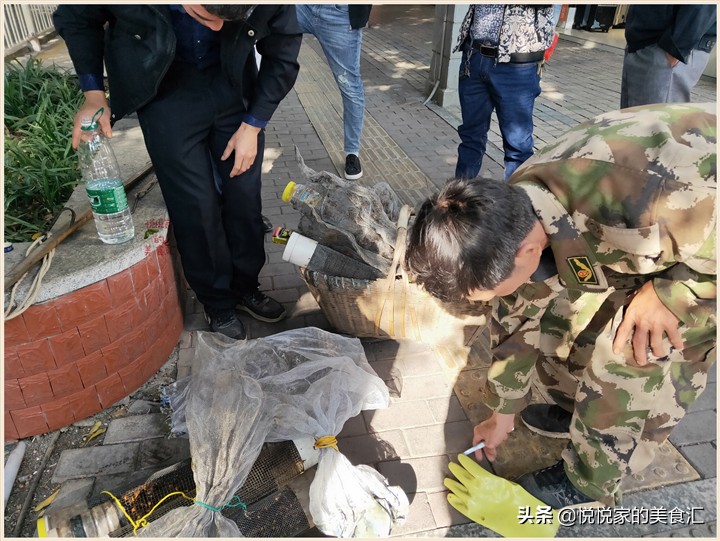 中蜂出售10元一只,农村大爷卖野蜂2元一只