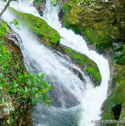云顶山一日游记,福建云顶山旅游攻略