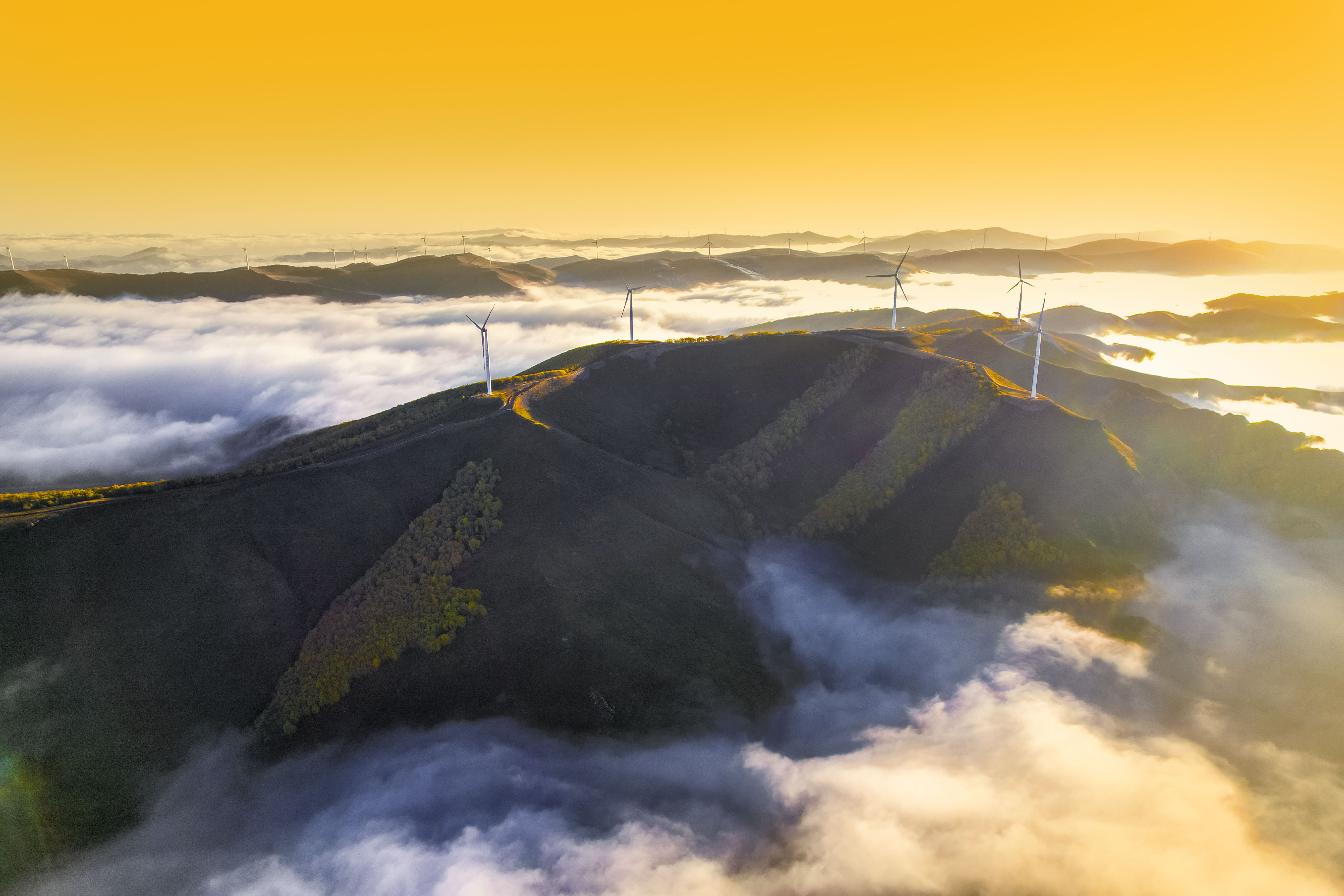 丰宁神仙谷七彩森林景区地图,丰宁坝上七彩森林游玩攻略