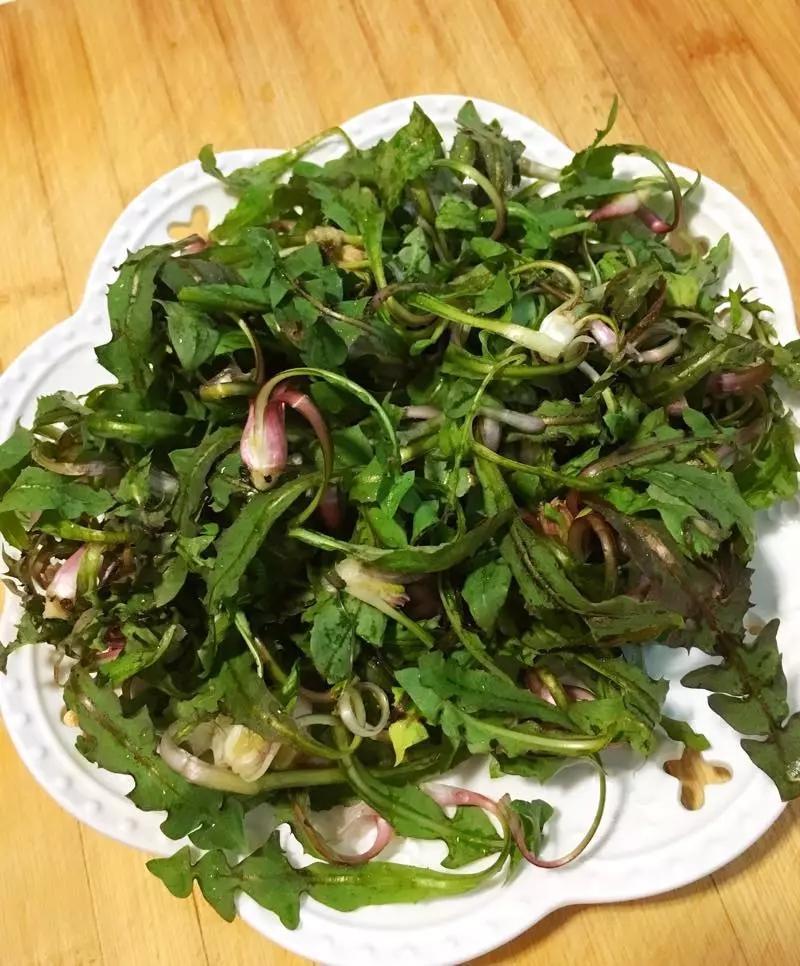 武山县油菜花最佳线路,武山油菜花海路线图