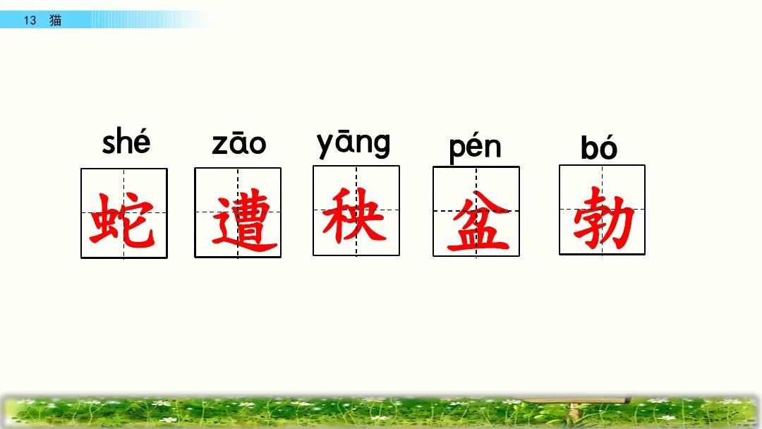 四年级下册语文13课猫课文解析,部编版四年级下册13猫教学视频