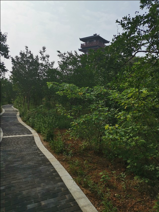周山森林体育公园,周山公园都有什么运动