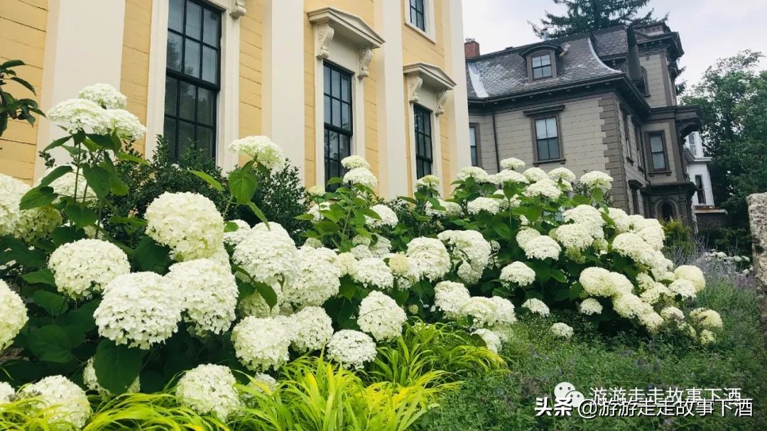 美国麻省理工学院旅游,美国中西部自驾