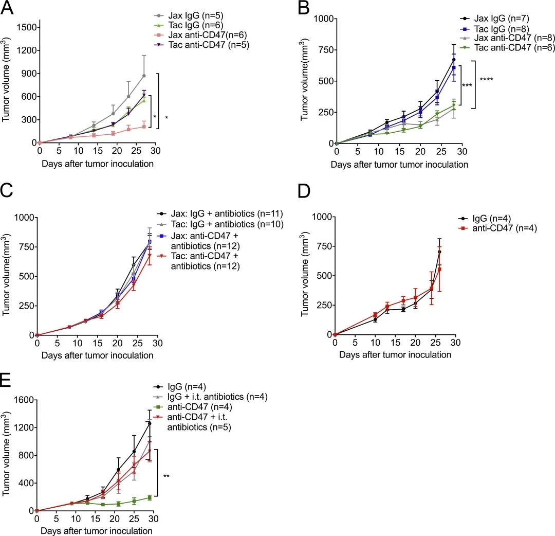 免疫治疗联合疗法,是敌是友重要吗