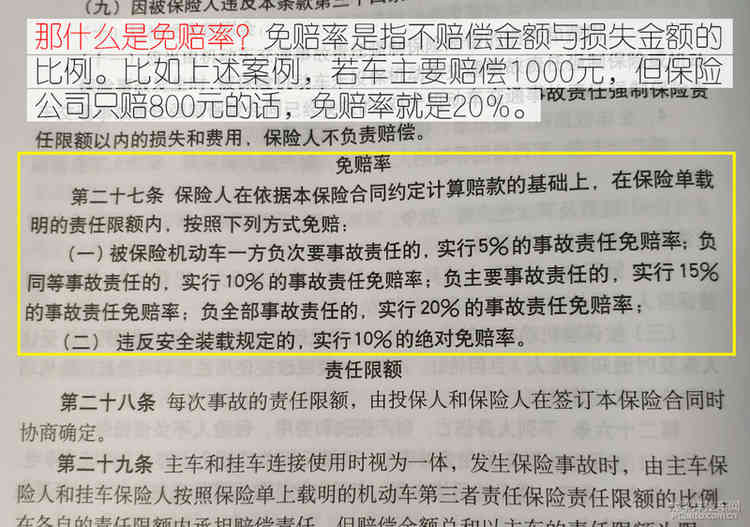 避之唯恐不及车撞死狗后该如何处理？