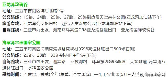 趁着春光出游海南,趁着春光明媚去旅行