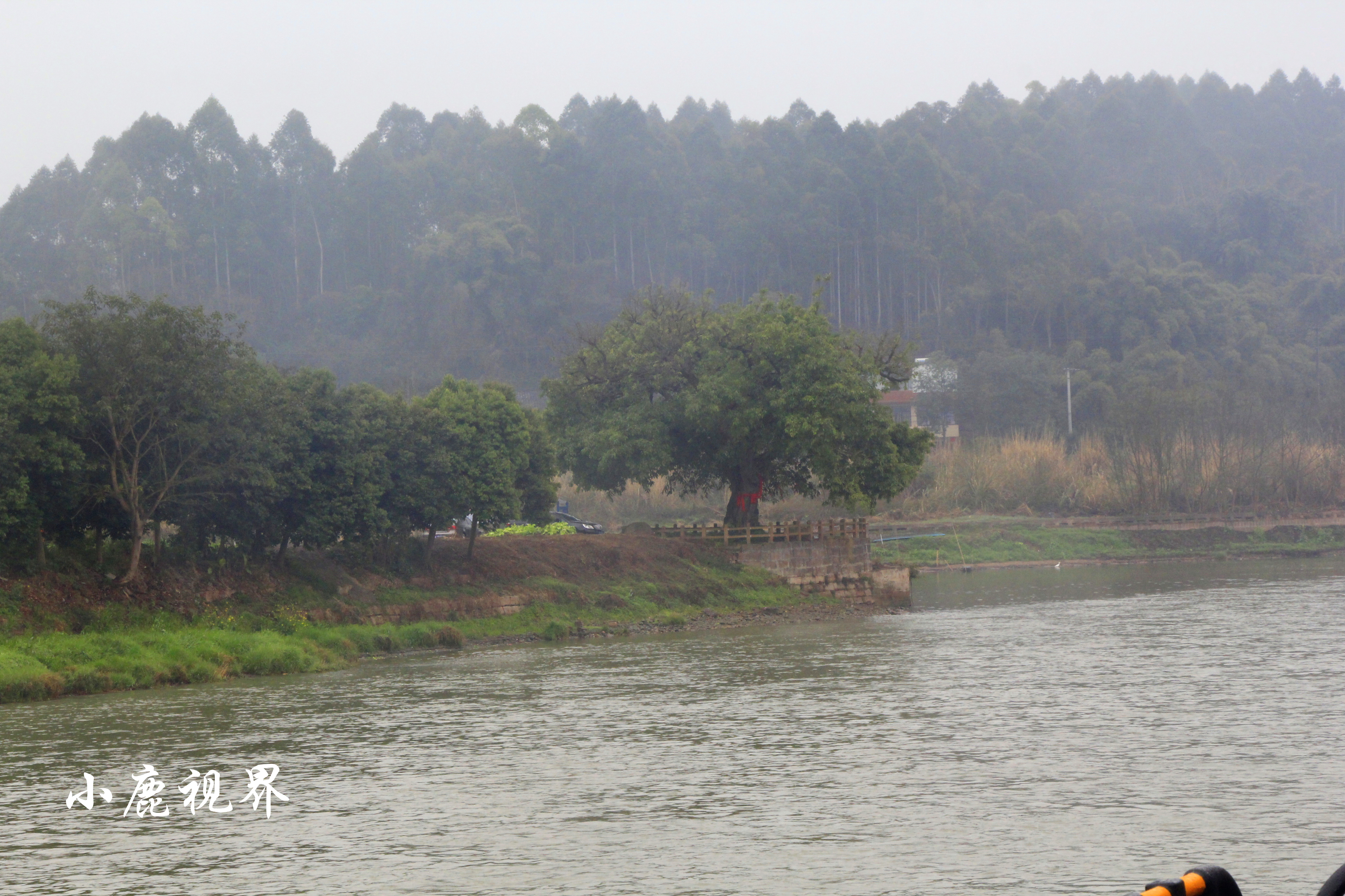 成都耍水的古镇黄龙溪古镇,山水田园黄龙溪古镇