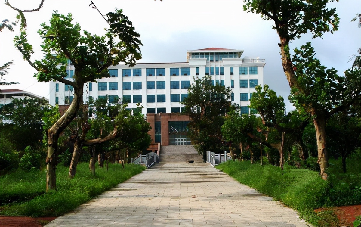 山东最有望升格为本科的专科院校,山东这4所院校有望升为本科院校