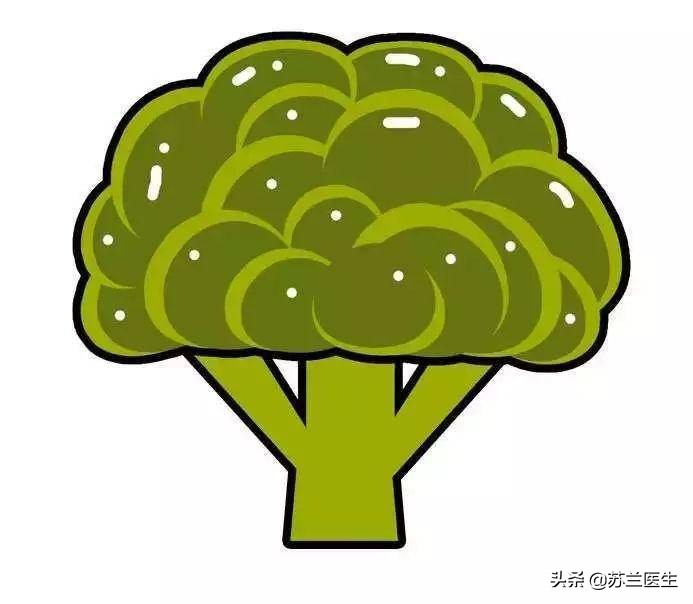 怀孕补充叶酸吃哪个牌子的好,准备怀孕叶酸吃多久