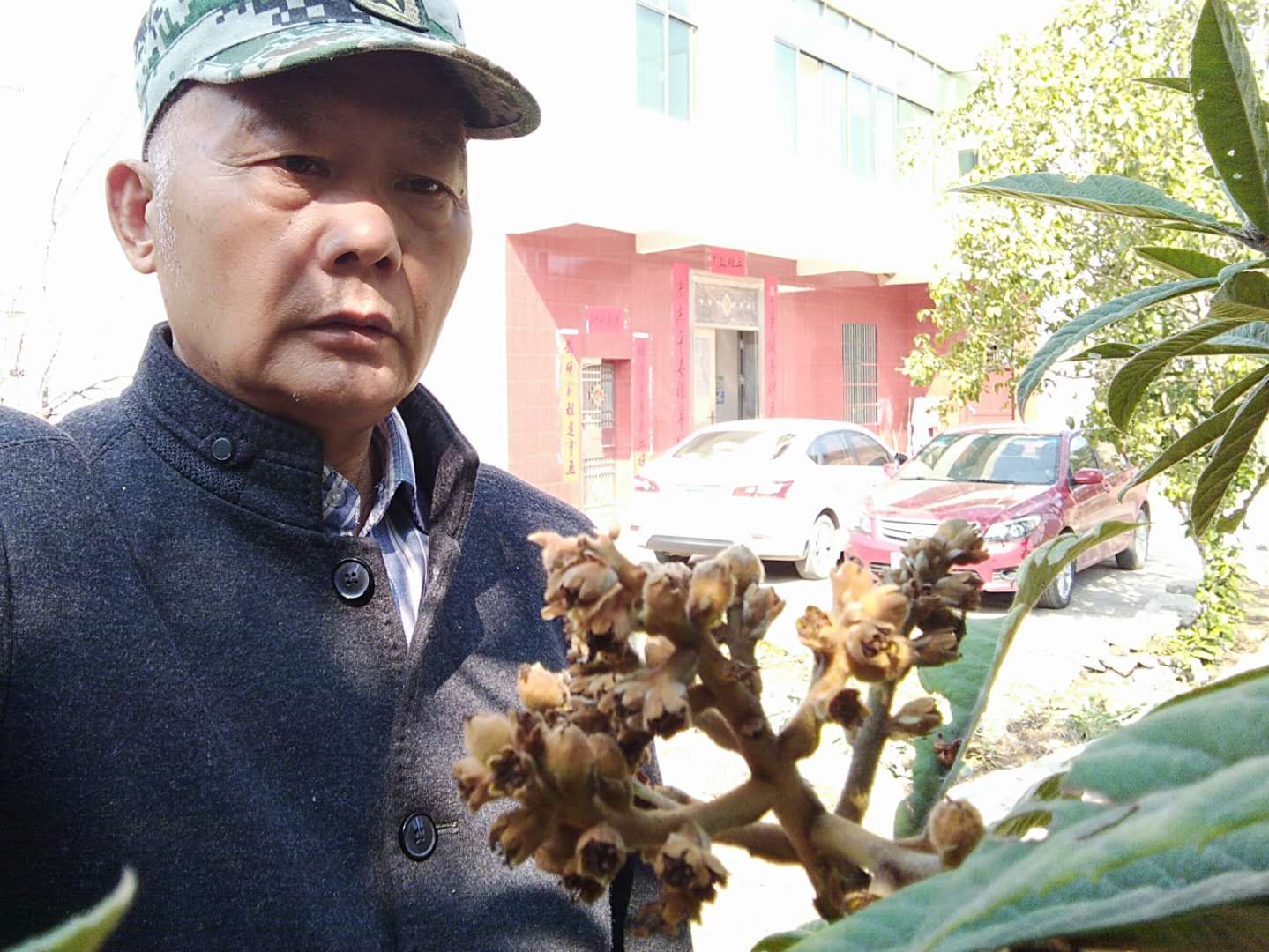 奉若珍宝,奉若珍宝什么意思