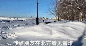 搜集一个笑死人的笑话,关于笑死人的笑话故事