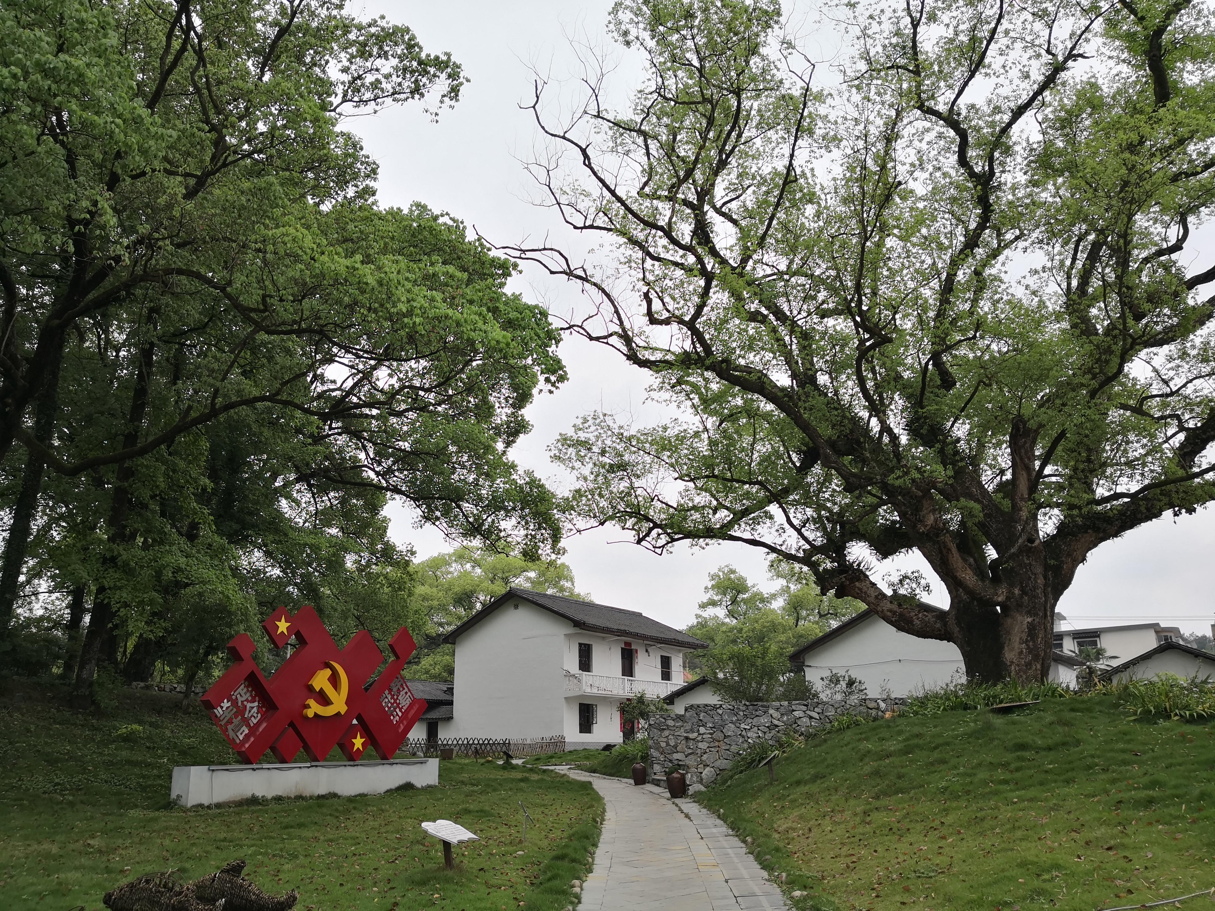 妈妈那边的亲戚称呼大全,山东亲属称呼大全