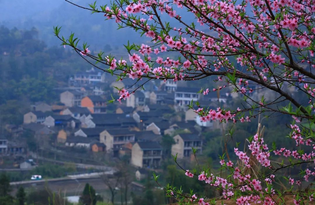 改革开放宁波,宁波奉化经济建设成就